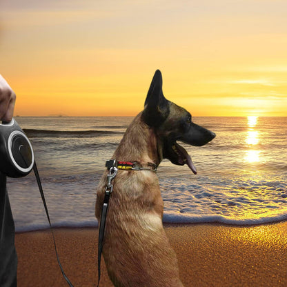 26Ft Retractable Dog Leash, Heavy Duty Great Leash for Dog up to 110 Lbs, Anti-Slip Rubberized Handle, One-Handed Brake, Strong Nylon Tape, Tangle Free(Large Size).6