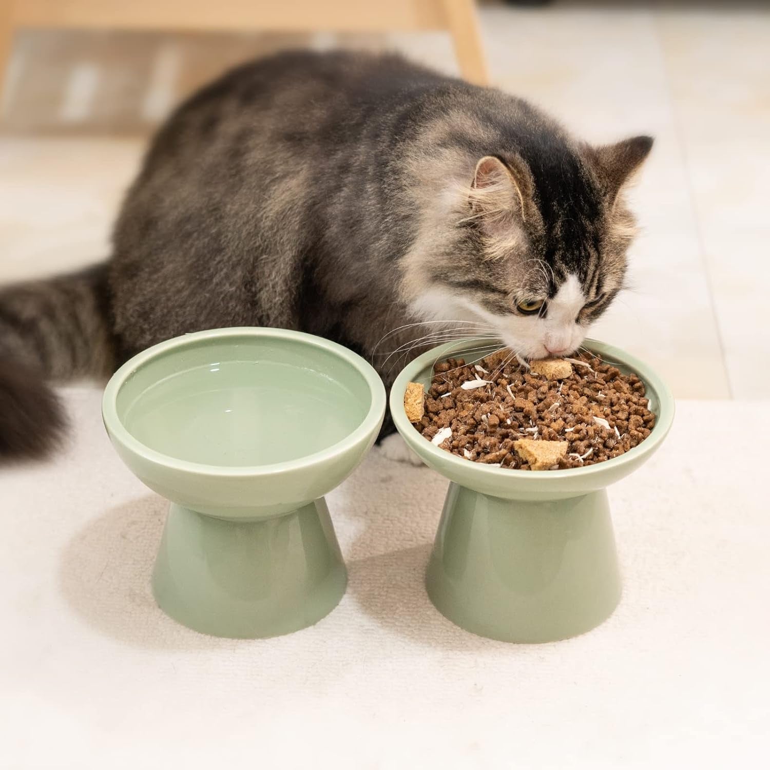 ceefu-2-pack-elevated-ceramic-cat-bowls-extra-wide-for-food-water-anti-vomiting-whisker-friendly-shallow-food-dish-and-deep-water-bowl-lead-cadmium-free-raised-height-for-cats-sage-green