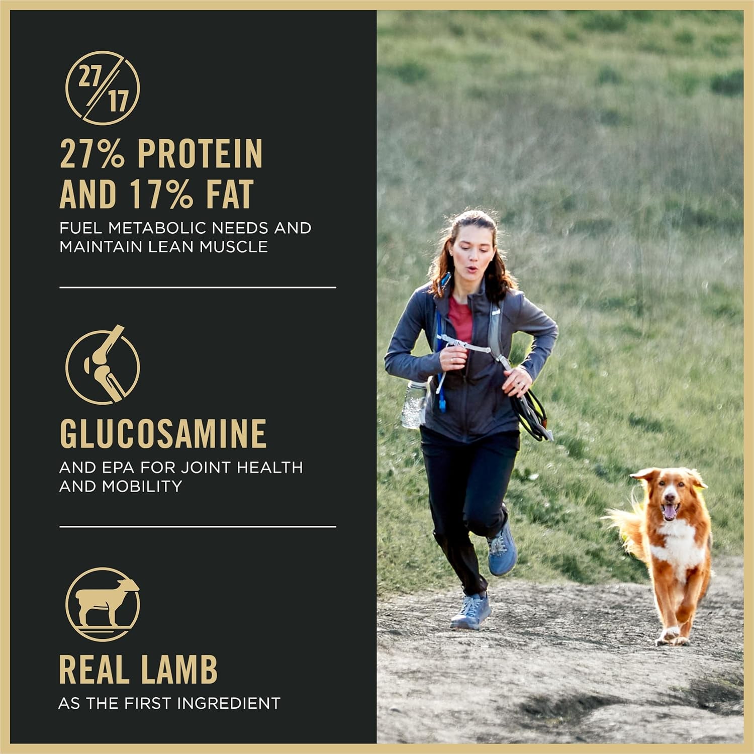 purina-pro-plan-high-protein-dog-food-small-bites-sport-27-17-lamb-and-rice-formula-37-5-lb-bag