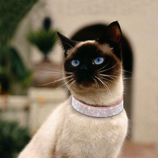 Rhinestone Dog Collar, Cute Dazzling Sparkling Soft Suede Leather Adjustable Pet Dog Cat Collar Crystal Diamond for Puppy Small Medium Large Dogs (XS:21 - 26Cm, Hot Pink-3)5
