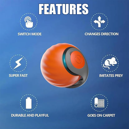 Silent Paws Interactive Cat Toys Ball,2 Packs and 4 Tails | Cat Toys for Indoor Cats - Automatic Cat Toys for Bored Indoor Adult Cats2