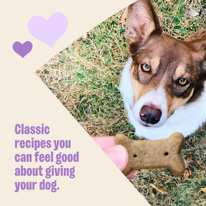 Wellness Old Mother Hubbard Classic P-Nuttier Dog Biscuits, Natural Training Treats, Peanut Butter Flavor, Mini Size, 6 Lb Box4