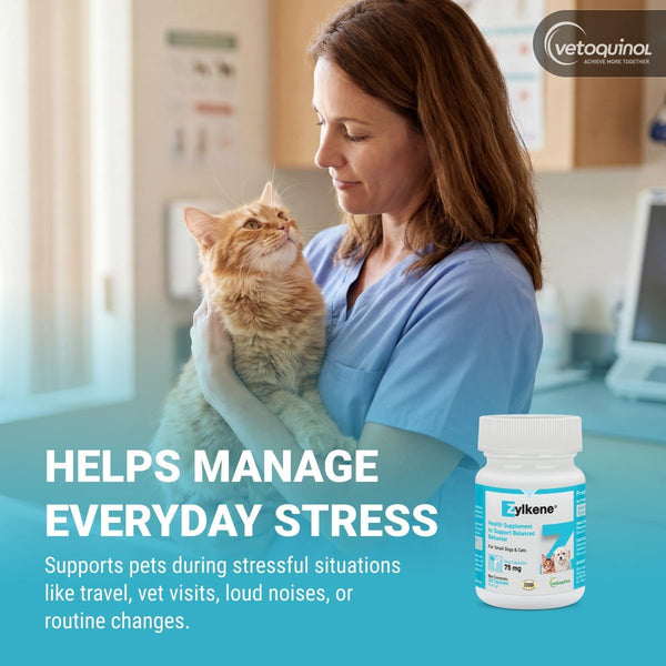 Vetoquinol Zylkene - Calming Oral Capsule for Small Cats & Dogs 11–22 Lb - for Behavior & Occasional Anxiety - Perfect for Boarding, Vet Visits & Celebrations - Non-Drowsy & Lactose-Free - 30 Capsules3