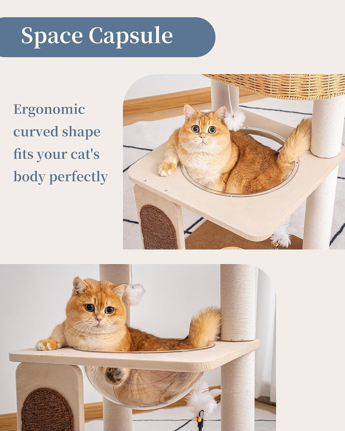 modern-cat-tree-for-large-cats-modern-cat-tree-tower-with-wide-shelves-cotton-scratching-posts-super-sturdy-base-cozy-perches-and-interactive-toys-for-indoor-kittens-31-inch