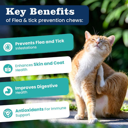 Flea Treatment for Cats-300 Treats Natural Flea and Tick Prevention for Cats Chewable, Itchy Skin &Biting Relief Immune &Gut Health Oral Flea Supplement for Kittens-All Cats Made in USA Chicken Flavor2