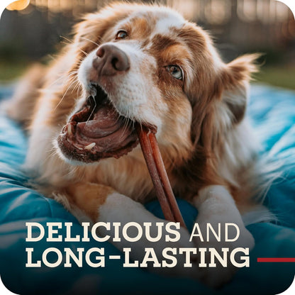 Redbarn Premium Bully Sticks for Dogs - 7 Inch, 6 Count - Long Lasting, Rawhide-Free, Slow Roasted, Low Odor & Highly Digestible, Single Ingredient Chews & All-Natural Dental Treats for Chewers6