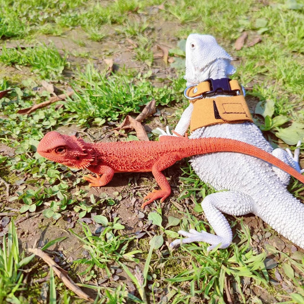 3 Pack Bearded Dragon Harness and Leash Set - Adjustable Soft Leather Lizard Harness Leash Small Animal Traction Rope Training Walking Vest Accessories for Reptile Squirrel Rat (Brown)8