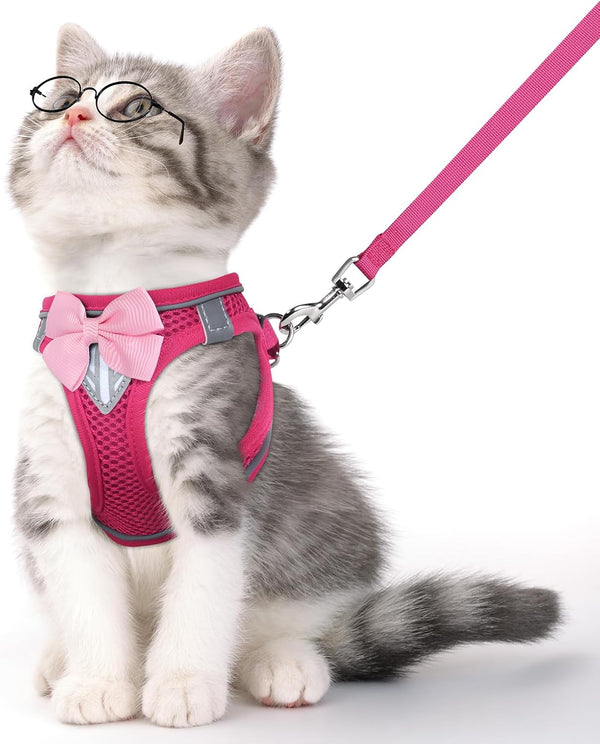 Cat Vest Harness and Leash Set, Escape Proof Kitten Harness Pink XS | Safe Reflective Strips, Adjustable Easy Wear Kitty Harness, Sturdy Clip Buckle, Breathable Mesh , for Kitty Puppy Bunny Walks1