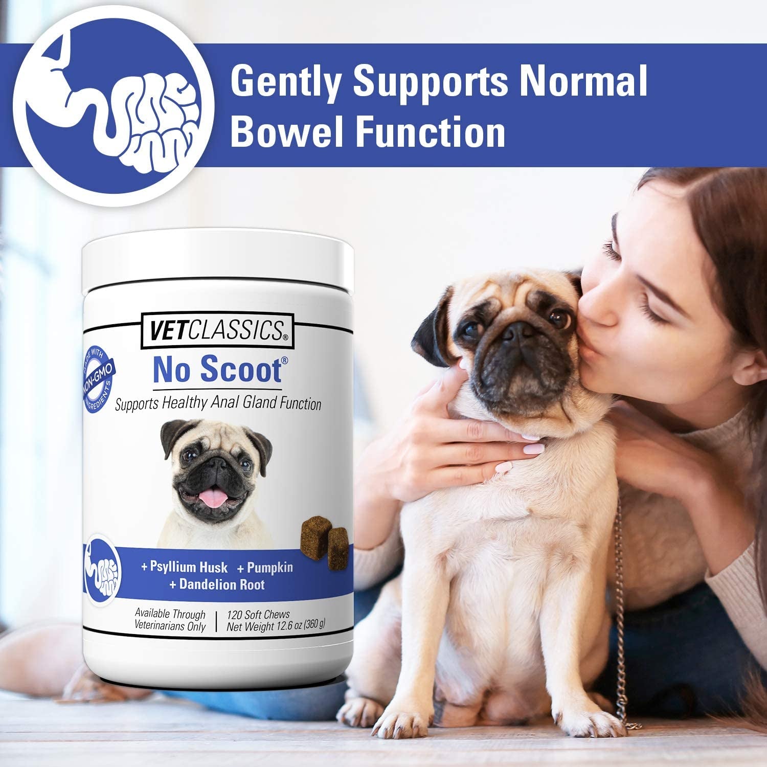 no-scoot-for-dogs-healthy-anal-support-120-soft-chews-no-scoot-chews-for-dogs-supports-healthy-gland-function-normal-bowel-functions-increases-daily-fiber-intake