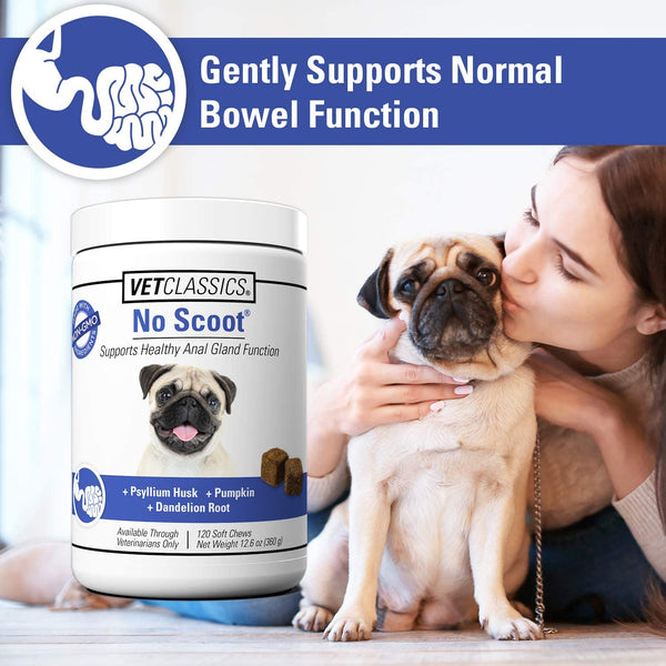 No Scoot for Dogs, Healthy Anal Support - 120 Soft Chews | No Scoot Chews for Dogs - Supports Healthy Gland Function, Normal Bowel Functions, Increases Daily Fiber Intake3