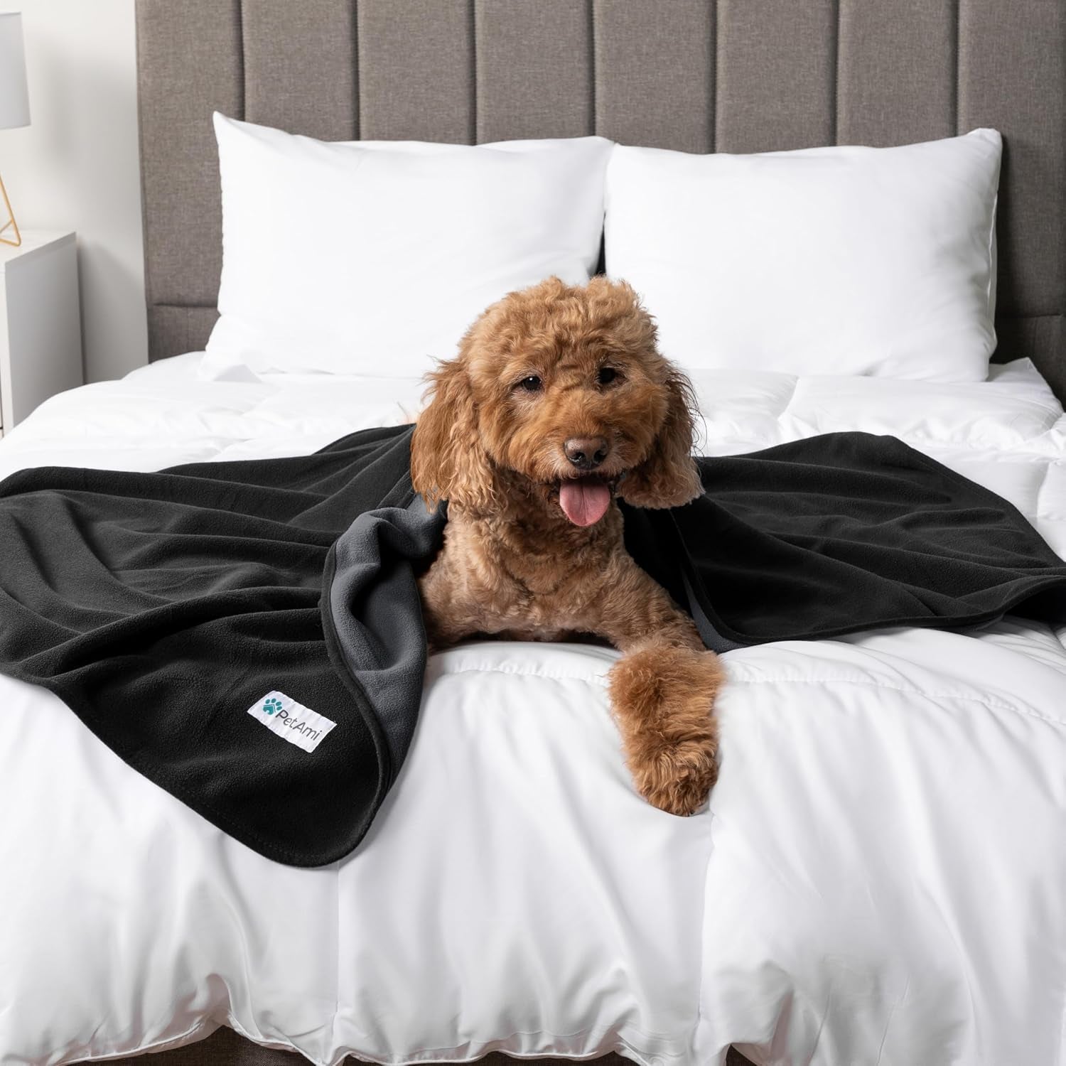 petami-waterproof-dog-blanket-for-couch-pee-proof-reversible-cat-blanket-for-sofa-bed-furniture-protector-soft-fleece-washable-pet-throw-for-dogs-cats-puppies-kittens-40x60-black-gray