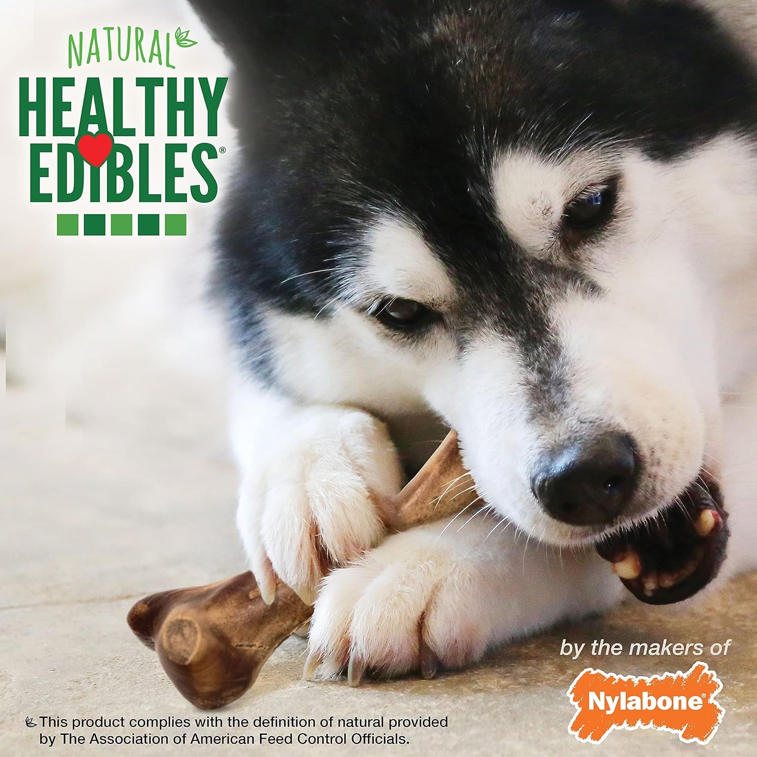 nylabone-healthy-edibles-wild-dog-treats-bison-flavor-large-natural-dog-chew-bones-made-in-usa-highly-digestible-dog-chews-long-lasting-chews-for-large-dogs-up-to-50-lbs