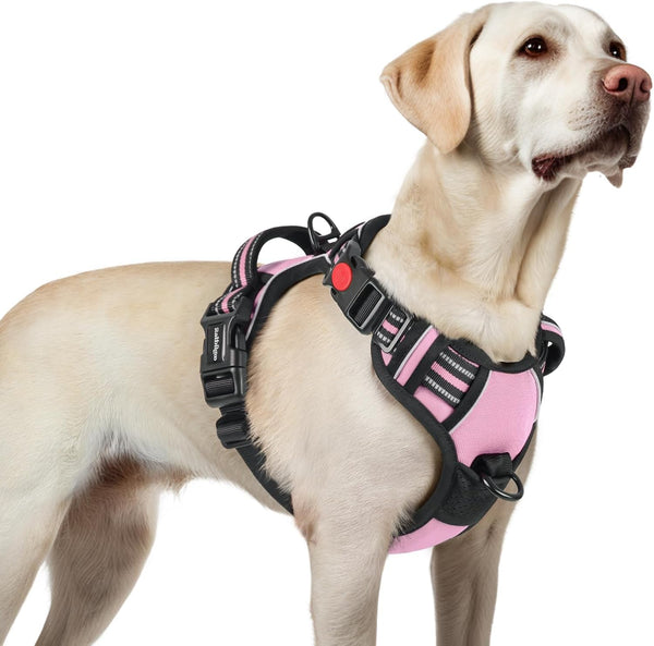 Rabbitgoo Dog Harness Medium Sized, Updated Easy on & off with 3 Buckles | No Pull No Choke, Walking with 2 Clips and Handle, Adjustable Soft Reflective, Blue, Medium50