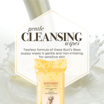 Burts Bees for Pets Gentle Cleansing Puppy Wipes, Buttermilk, 50 Count | Buttermilk Formula, Hypoallergenic, 98% Natural Origin, Gentle Cleansing and Conditioning3
