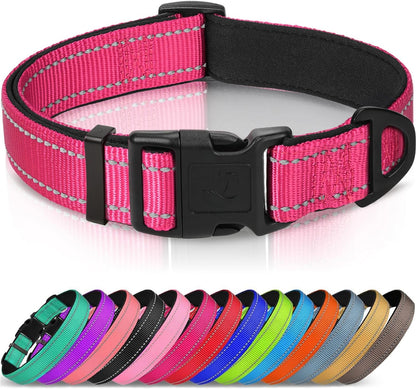 Joytale Reflective Dog Collar, Adjustable Neoprene Padded, Teal L | Breathable Nylon for Large Dogs, No Chafing on Walks and Outdoor Hikes, Tear-Resistant Webbing, Metal D-Ring, Night Safety9