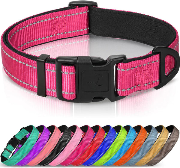 Joytale Reflective Dog Collar, Adjustable Neoprene Padded, Teal L | Breathable Nylon for Large Dogs, No Chafing on Walks and Outdoor Hikes, Tear-Resistant Webbing, Metal D-Ring, Night Safety9