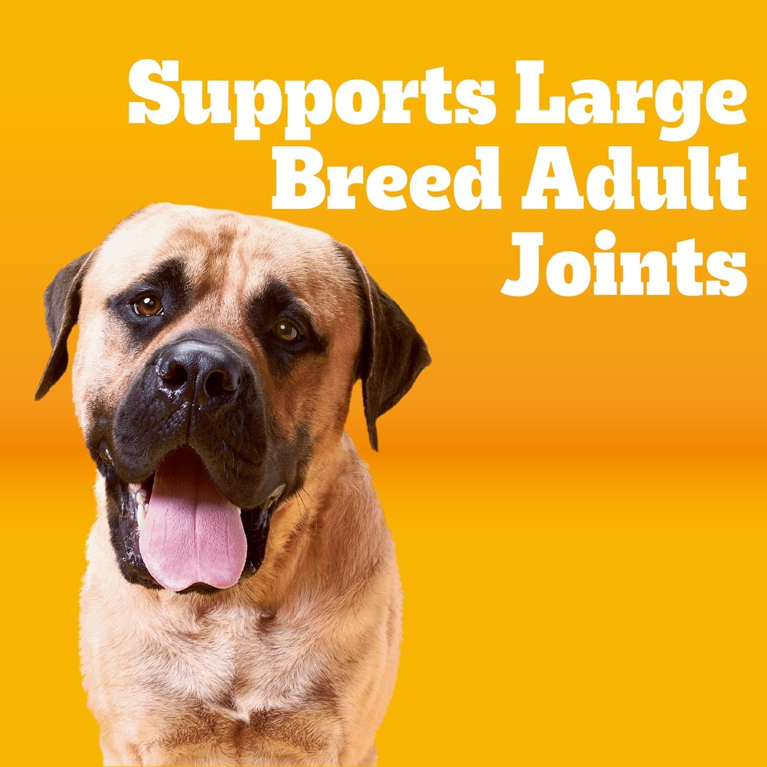 pedigree-large-breed-adult-dry-dog-food-roasted-chicken-vegetable-16-lb-36-vitamins-minerals-amino-acids-prebiotic-fiber-supports-lean-muscle-immune-health-natural-flavors-only