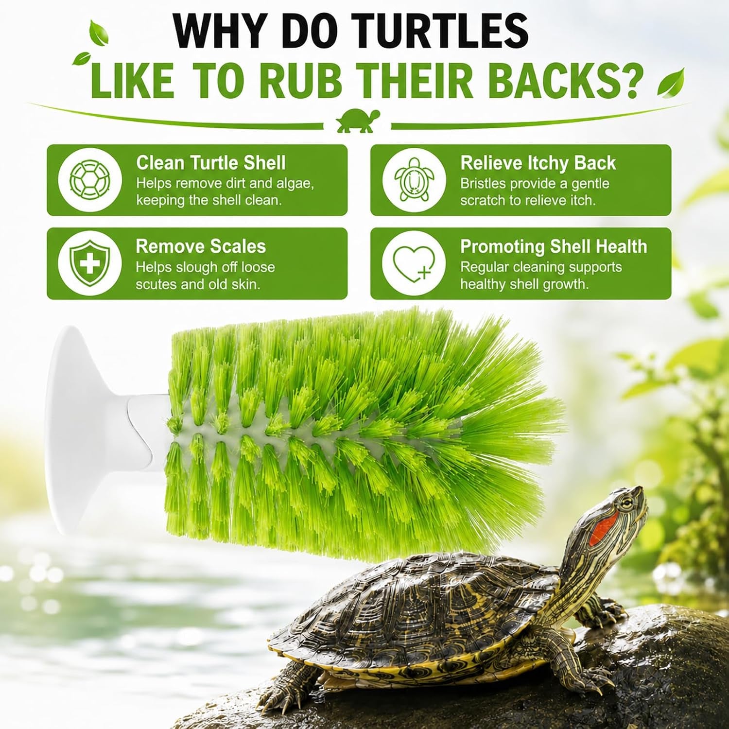 turtle-scrub-brush-turtle-scratches-back-brush-turtle-shell-clean-brush-with-suction-cup-turtle-exfoliate-brush-tank-tortoise-brush-for-remove-turtle-shell-scutes-mud-dirt