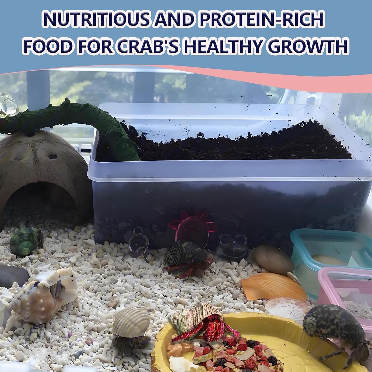 jadingsfarm-fruity-buffet-blend-diet-4-4-oz-food-for-hermit-crabs-all-natural-hermit-crab-food-hermit-crab-treats-high-protein-nutrient-blend-diet-of-oats-blueberries-strawberry-banana-sprouted-seeds-mix-for-hermit-crabs