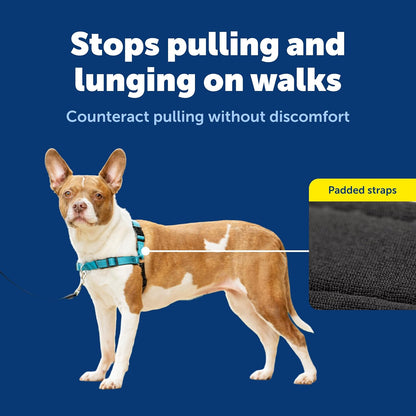 Petsafe Easy Walk Deluxe Dog Harness, No Pull Dog Harness – Perfect for Leash & Harness Training – Stops Pets from Pulling and Choking on Walks – Medium, Ocean5