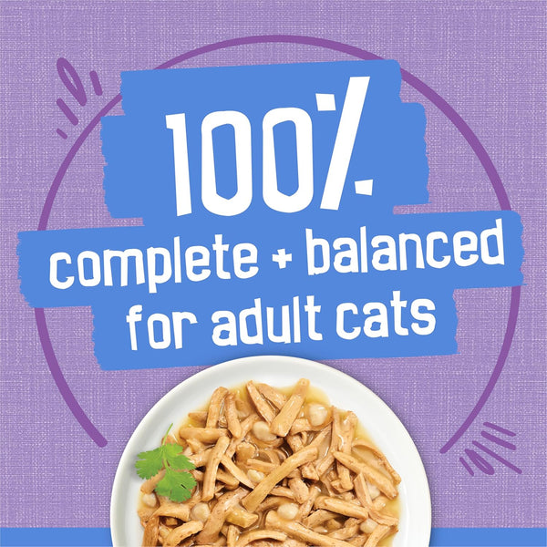 Purina Friskies Shreds Turkey and Cheese Dinner in Gravy High Protein Wet Cat Food - (Pack of 24) 5.5 Oz. Cans5