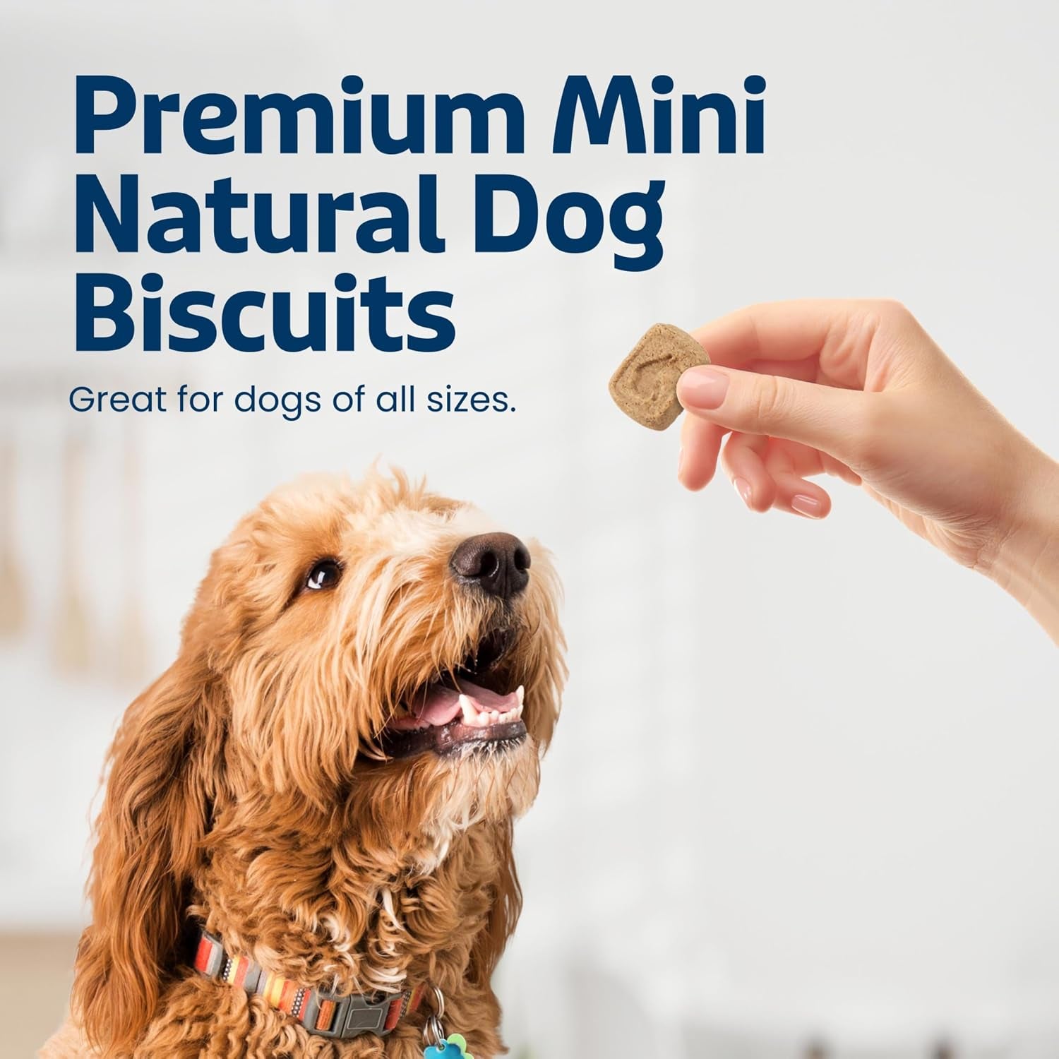 blue-buffalo-mini-health-bars-apples-yogurt-crunchy-dog-biscuits-bite-sized-for-training-oven-baked-with-real-apples-natural-ingredients-healthy-dog-treats-16-oz