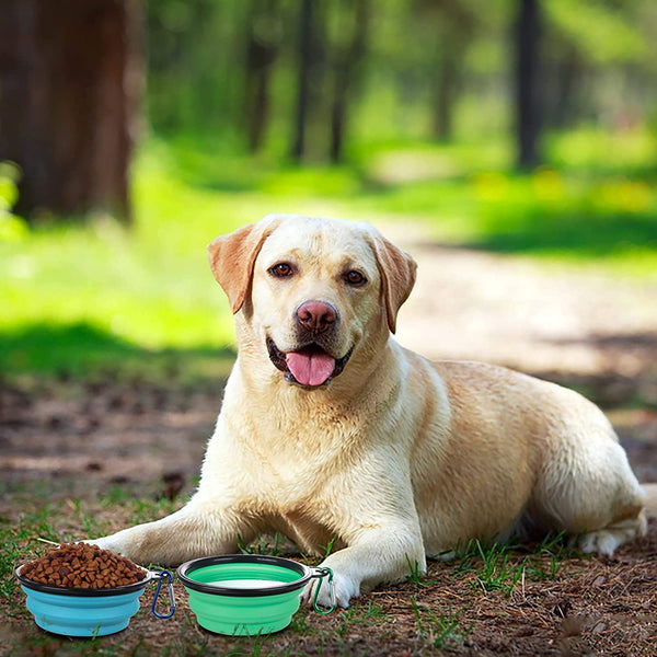 SLSON Collapsible Bowl with Cover Lids,2 Pack Dog Travel Bowls Portable Foldable Cat Water Dish Bowl for Pets Walking Parking Camping (Light Blue and Green, Small)6