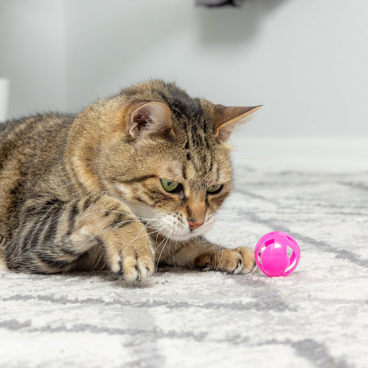 spot-slotted-balls-cat-toy-interactive-cat-toys-for-indoor-cats-to-chase-hunt-and-stimulate-jingle-bell-inside-for-sound-when-batted-around-safe-and-non-toxic-1-5-assorted-4-pack