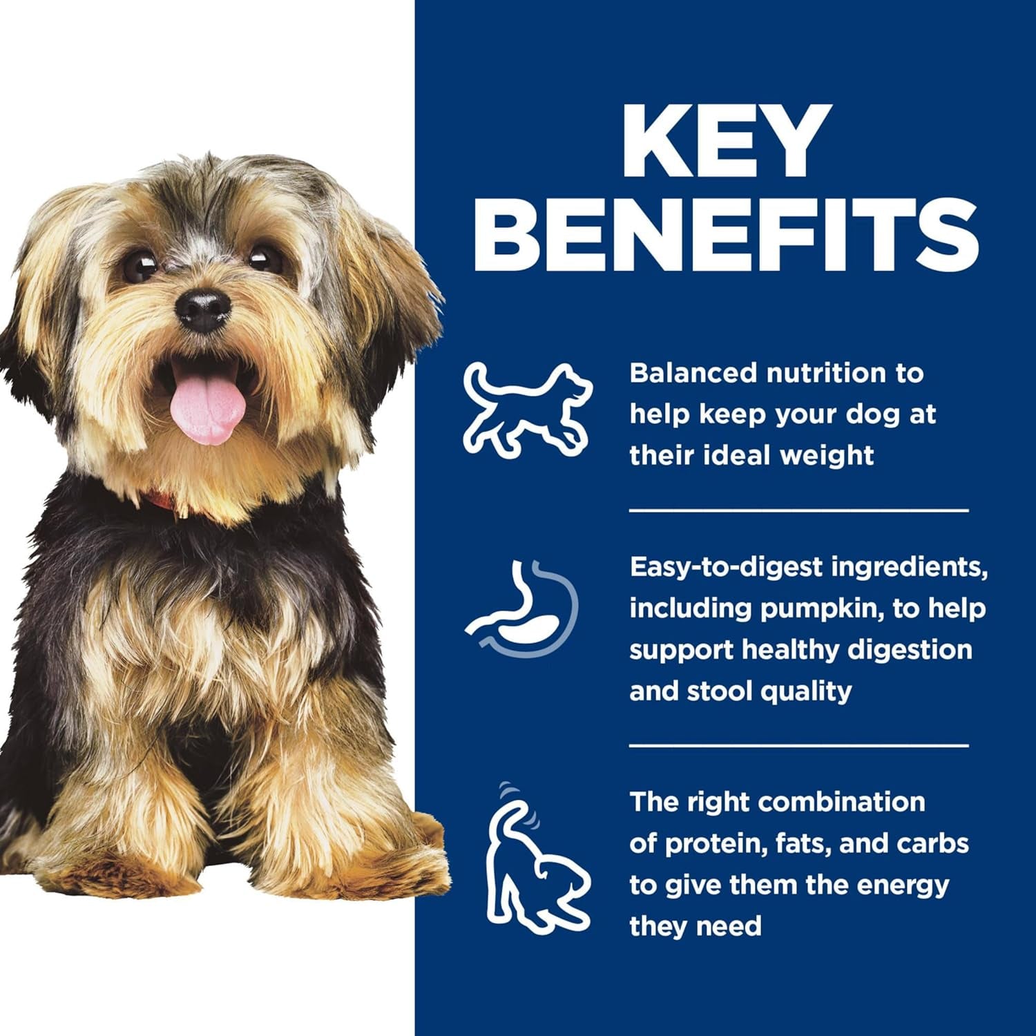 hills-science-diet-adult-1-6-small-mini-wet-dog-food-variety-pack-1-veterinarian-recommended-chicken-vegetables-beef-vegetables-3-5-oz-trays-12-pack