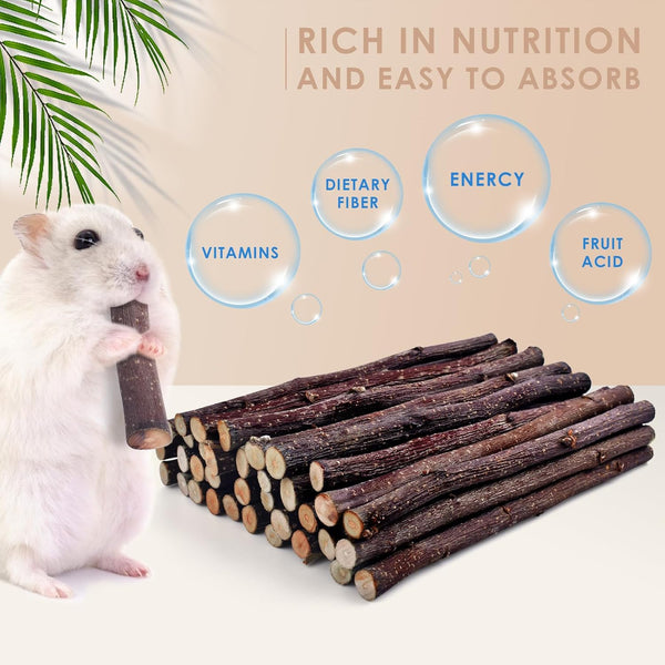 Bissap Apple Sticks for Rabbits, Natural Bunny Chew Toys and Treats for Chinchilla Guinea Pig Hamster Gerbil Small Animals Pet Apple Wood Stick Toys Teeth Grinding (230G/8.1Oz)2