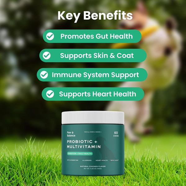 Dog Probiotics and Multivitamin Chews for Digestive Health, Immune Support, Gut Health, Allergy Support, Dog Vitamins, with Vitamin C, Omega 3, Colostrum, 60 Soft Chews per Jar2