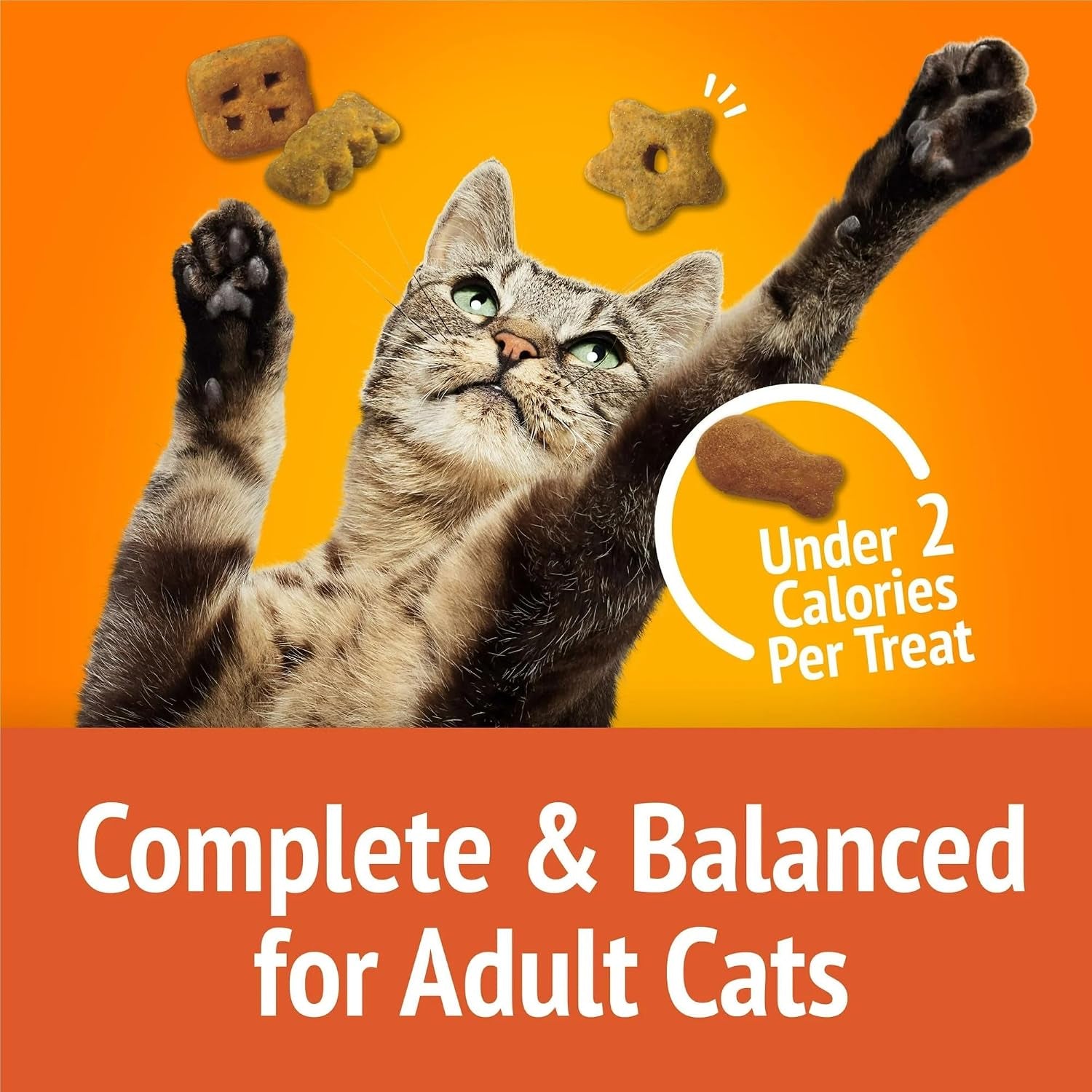 cat-treats-with-chicken-flavors-of-liver-turkey-20-oz-pack-of-2