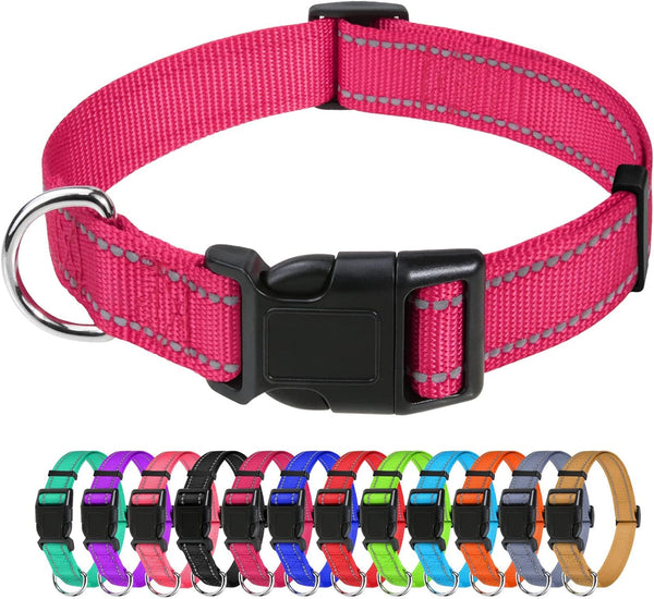 Tagme Small Dog Collar, Reflective Puppy Collar, Sky Blue, 3/8" Width | Lightweight, Nylon Collar for Puppies, Chihuahua, Yorkie & Teacup Dogs 5-15 Lbs, Reflective for Evening Walks, 12 Colors41