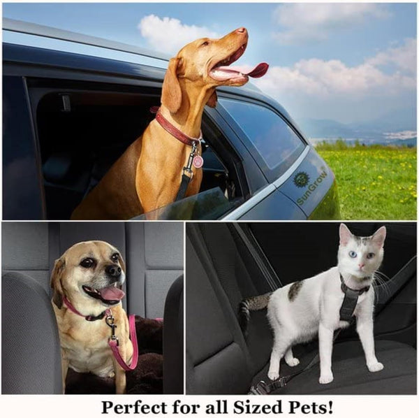 Sungrow Dog Seat Belt for Car, Adjustable Nylon Pet Seatbelt, Supports All Cars, Dog Car Leash Seat Belt, Seatbelt for Dogs, Cats & Ferrets Travel Harness8