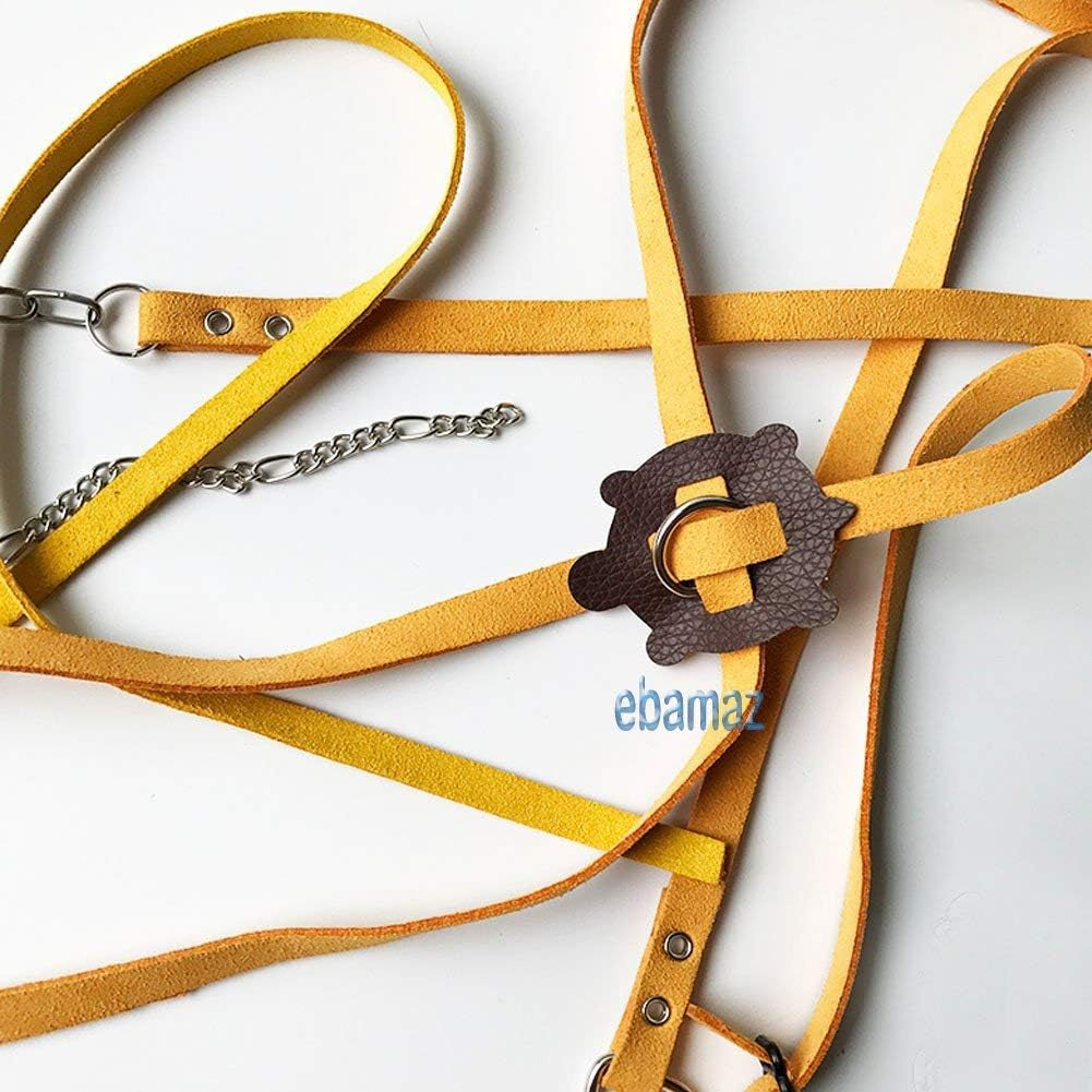 leather-harness-strap-for-tortoise-turtle-reptile-animals-size-m-crawling-pet-walking-training-control-rope-chest-collar