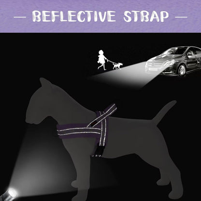 Didog No Pull Dog Harness for Small Medium Dogs, Floral Print, Purple, S | Soft Flannel Padded, Quick Fit, Easy on and Off, Night Safty, Adjustable & Reflective for Walking and Training, Chest 19-22"6