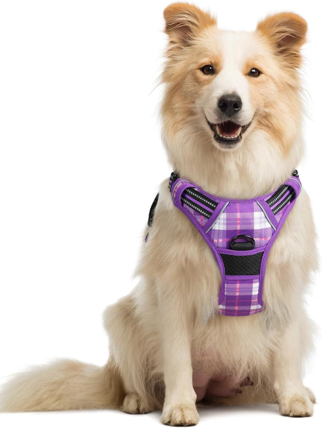 rabbitgoo-dog-harness-no-pull-for-large-dogs-with-2-leash-clips-pet-vest-no-choke-with-handle-adjustable-soft-padded-reflective-easy-control-for-walking-black-large