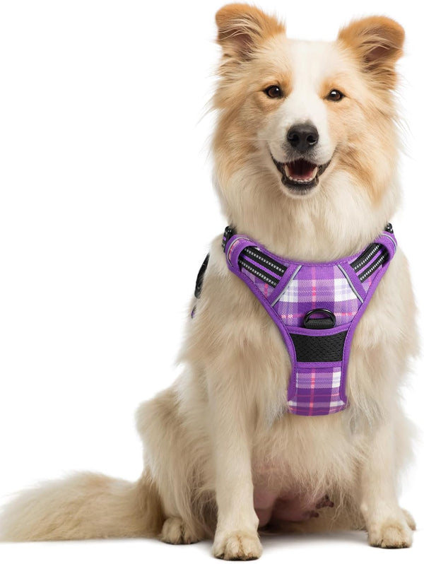 Rabbitgoo Dog Harness, No Pull for Large Dogs with 2 Leash Clips, Pet Vest | No Choke with Handle, Adjustable Soft Padded, Reflective, Easy Control for Walking, Black, Large155