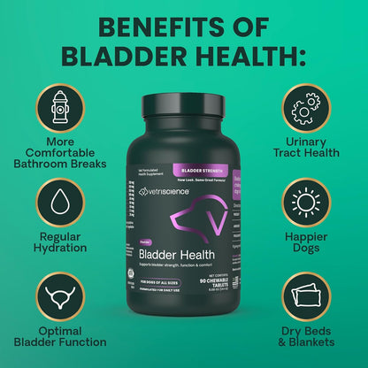 Vetriscience Bladder Health Chewable Tablets, Bladder Strength Urinary Tract Supplement for Dogs, Reduce Urine Leakage and Overactive Bladder, with Soy Protein and Saw Palmetto, Smoke, 90 Count7