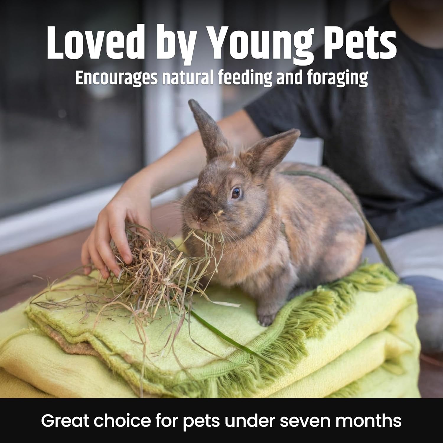 high-desert-alfalfa-hay-protein-rich-soft-leaf-food-for-young-growing-animals-natural-rabbit-food-and-guinea-pig-hay-supports-digestive-health-small-pet-supplies-fresh-hand-packed-5-lb-box-protein-rich-soft-leaf-forage-ideal-for-growing-kits-and-nursing-mothers-great-calcium-source-hand-packed-low-dust