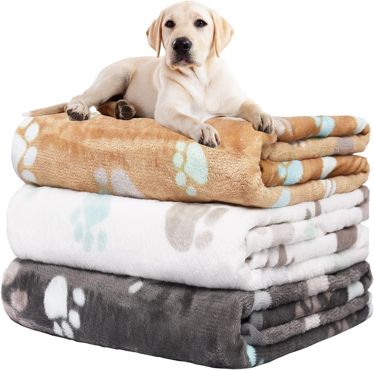 rezutan-dog-blankets-for-3-pack-large-medium-pet-cat-soft-fuzzy-washable-blanket-comfort-flannel-suitable-for-dogs-kennels-beds-sofas-furniture-gifts-puppy-essentials-41-x-31-inch-black