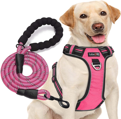 Tobedri No Pull Dog Harness Adjustable Reflective Oxford Easy Control Medium Large Dog Harness with a Free Heavy Duty 5Ft Dog Leash, Blue, M14