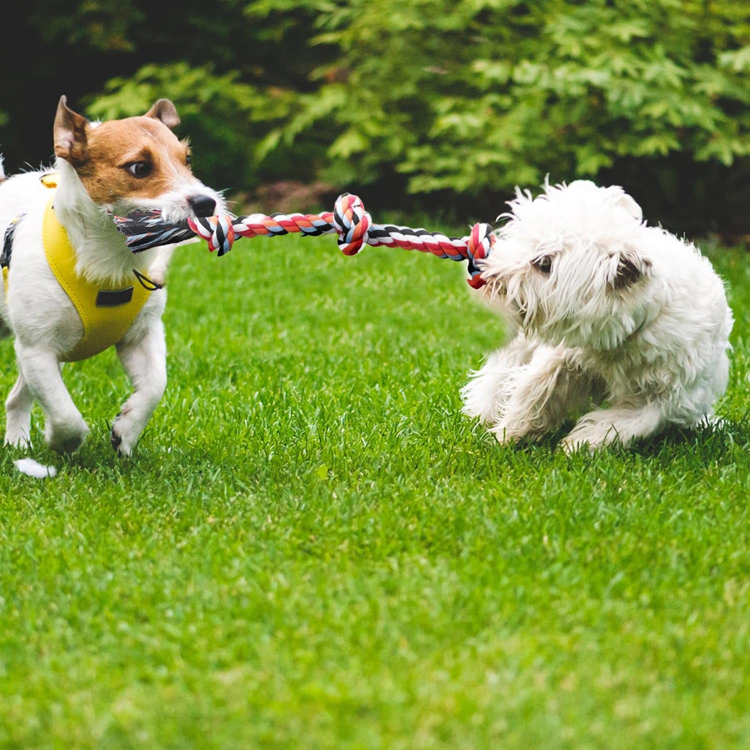 twoear-dog-rope-toy-4-pack-puppy-teething-toys-for-small-breed-indestructible-dog-chew-toys-for-aggressive-chewers-cotton-tug-of-war-dog-toys-for-boredom-teeth-clean