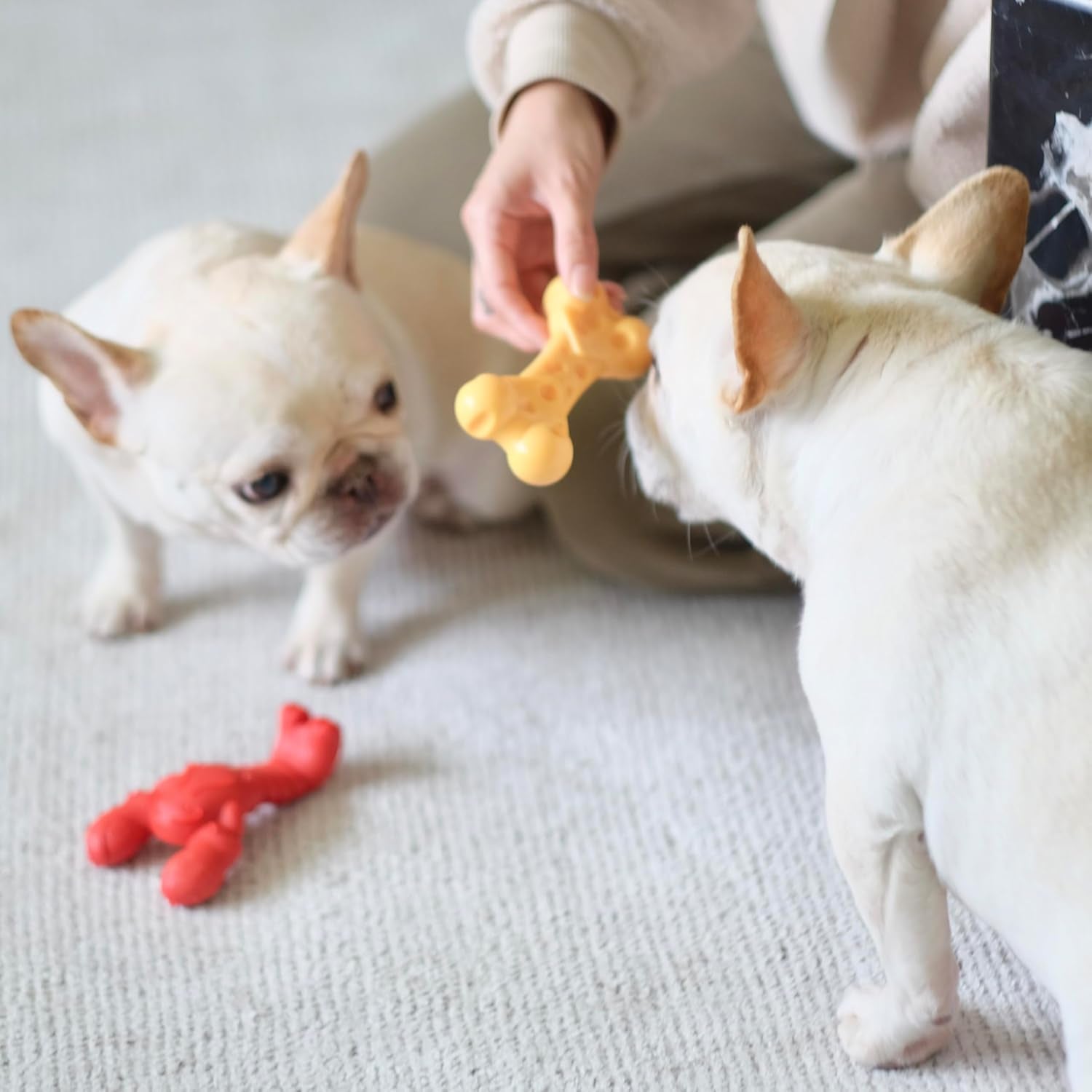 nylabone-power-chew-lobster-dog-chew-toy-filet-mignon-flavor-small-durable-dog-toys-for-aggressive-chewers-long-lasting-discourages-destructive-chewing-for-dogs-up-to-25-lbs