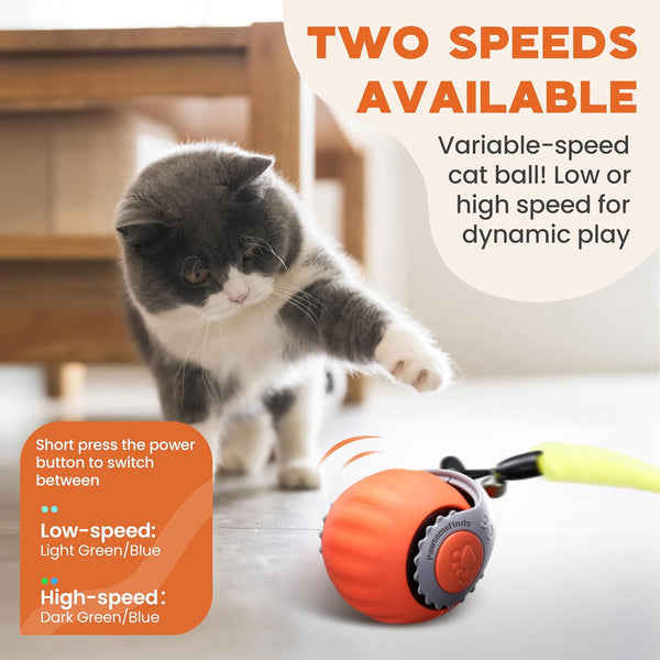 Interactive Cat Toy for Indoor Cats, Two Speed Smart Automatic Cat Toy Moving Ball with Tail, Rechargeable Motion Activated Cat Toys for Bored Indoor Adult Cats (Adapter Not Included)3