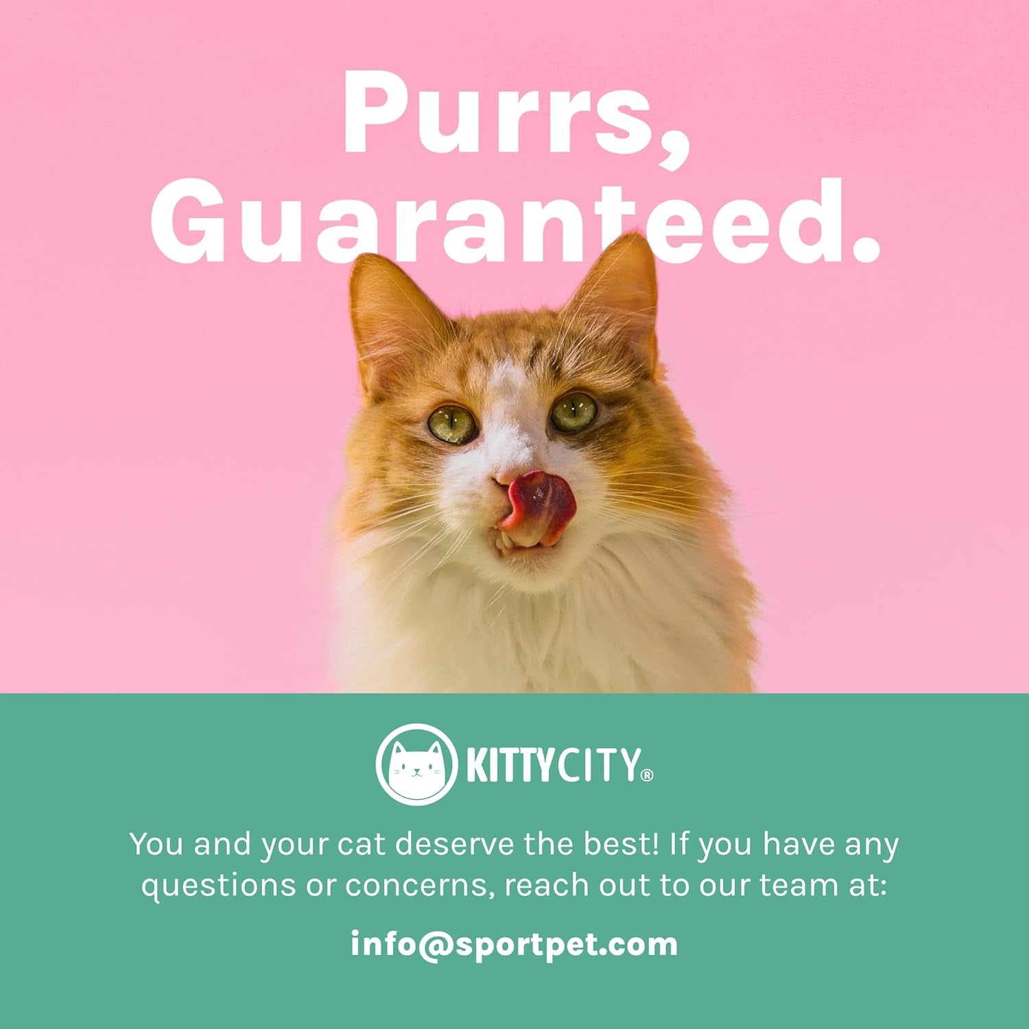 kitty-city-elevated-cat-bowls-set-of-2-whisker-friendly-raised-cat-food-water-dishes-modern-pedestal-design-dishwasher-safe-6-5-oz-each-white-gray