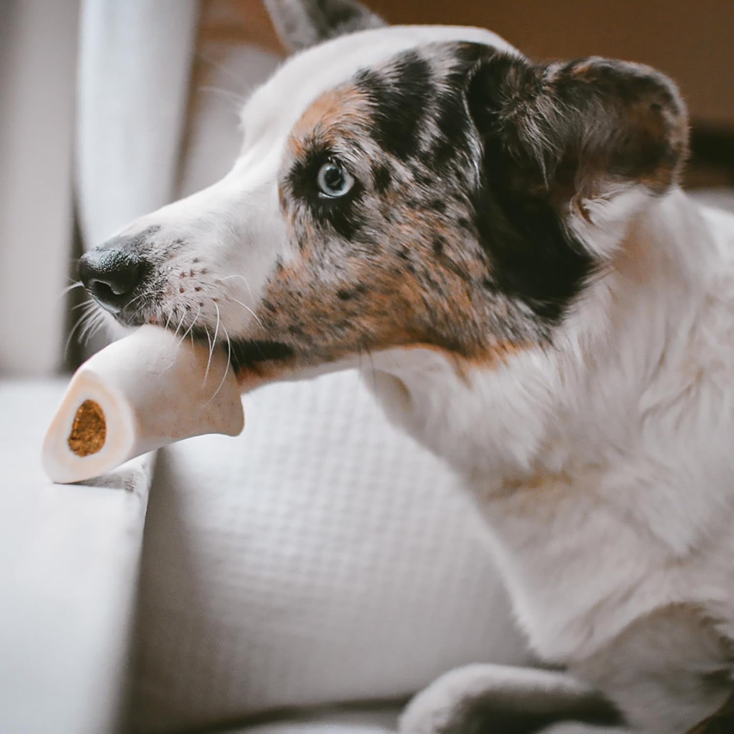 cadet-stuffed-shin-bone-long-lasting-dog-chew-bones-for-aggressive-chewers-high-protein-filled-bone-dental-chew-for-dogs-peanut-butter-flavor-filling-3-4-for-small-dogs-3-pack