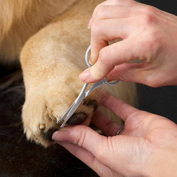 Tweezerman Pet Grooming Scissors-Rounded Tip Trimming Scissor for Dogs/Cats6