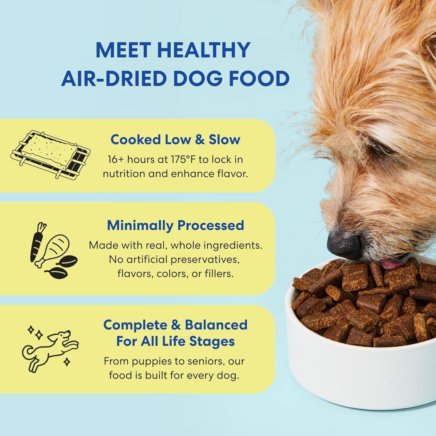 the-pets-table-chicken-sweet-potato-air-dried-dog-food-1-lb-16-oz-bag