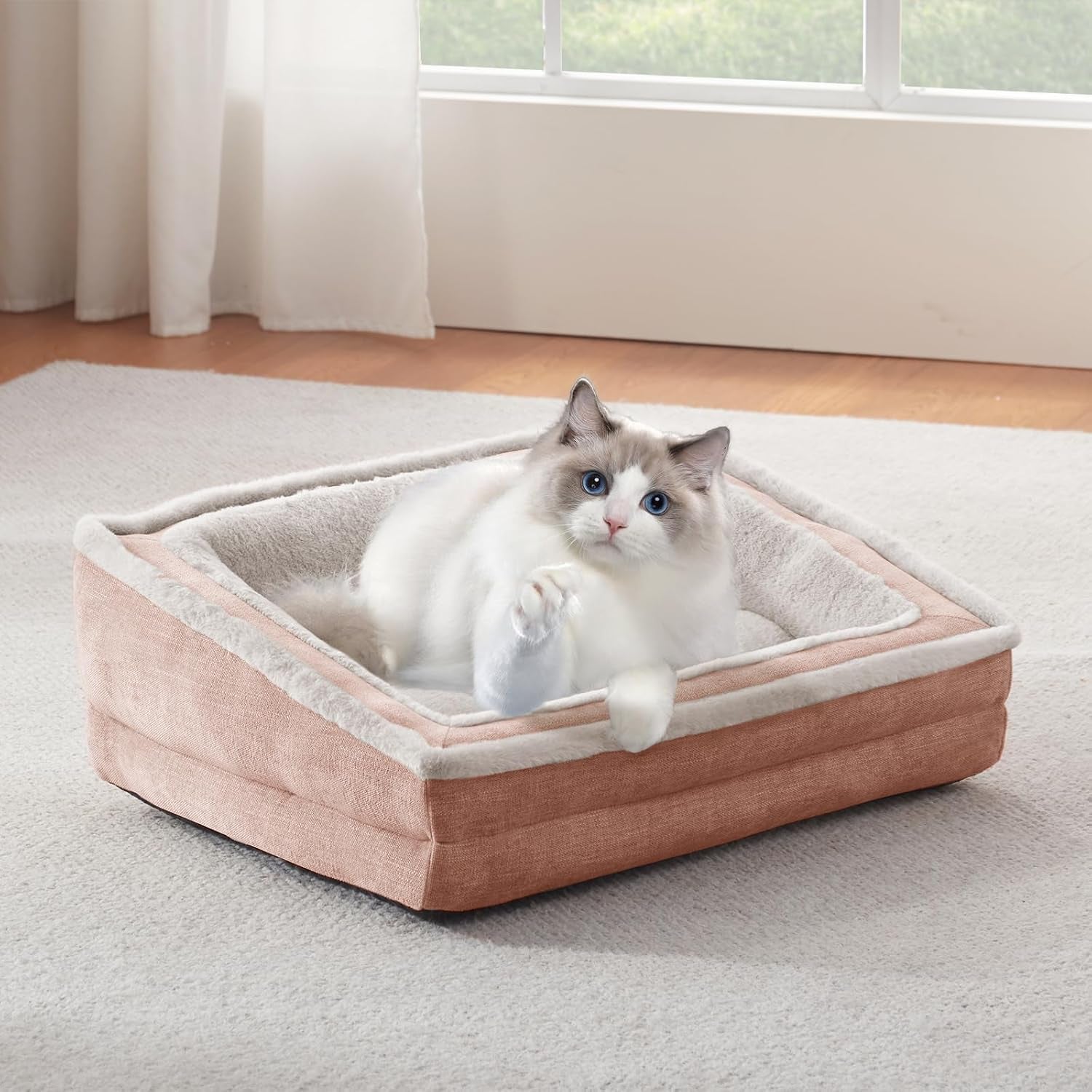 laojin-balhen-cat-couch-for-pets-washable-cat-beds-for-indoor-cats-super-soft-plush-supportive-dog-couch-bed-for-puppy-and-kitten-with-anti-slip-bottom-24inch-beige
